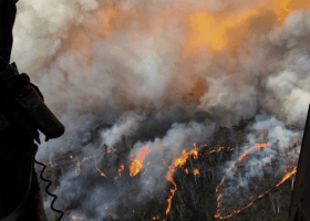 Cruise ships avoid Australia’s Port of Eden amid raging bush fires