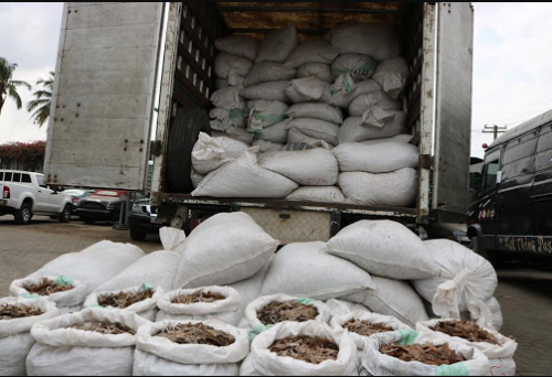 Customs impounds pangolin scales, arrests 20 suspects 