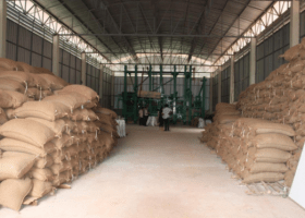 Nigeria to begin rice exportation in 2022 – Minister