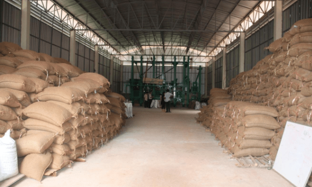 Nigeria to begin rice exportation in 2022 – Minister