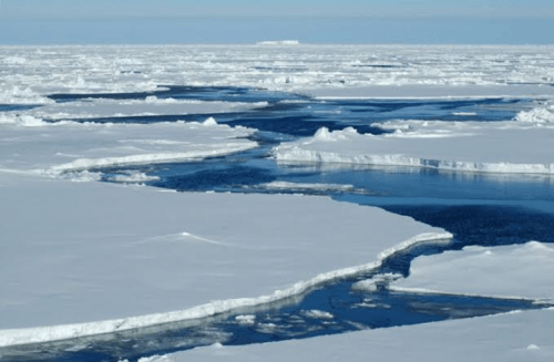 Ralph Lauren, PUMA, others pledge to avoid Arctic shipping