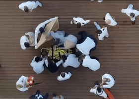 VIDEO: Passenger who jumped off cruise ship rescued in Indian Ocean