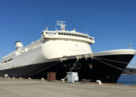 Coronavirus: Japan prepares ferry to quarantine China returnees