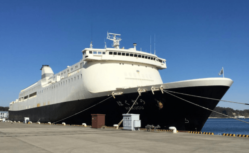 Coronavirus: Japan prepares ferry to quarantine China returnees 