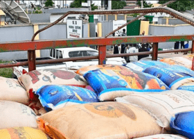 Customs refuses to collect 1,800 bags of rice rejected by Oyo