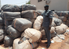 Customs impounds N253m contraband in Kebbi