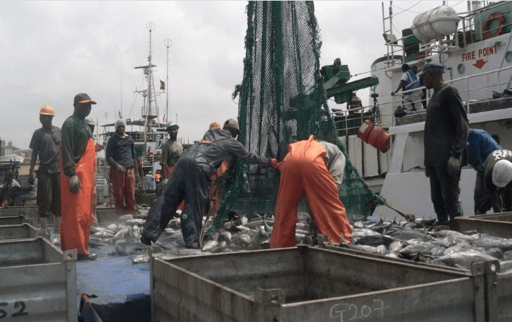 FAO raises the alarm on overfishing