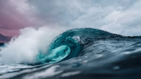 Stakeholders make case for harnessing ocean resources