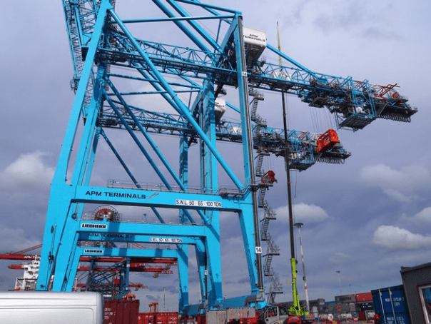 APM Terminals Gothenburg grows four times faster than the market