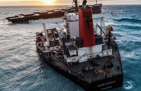 How Wakashio deviated from shipping lane before Mauritius incident 
