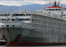 Ship with 43 crew members goes missing off Japan