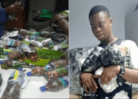 NDLEA arrests Cyprus-bound student with 13.55 kg of cannabis