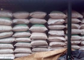 Customs intercepts 624 bags of rice