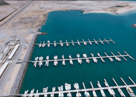Abu Dhabi Ports completes second phase of Delma Port