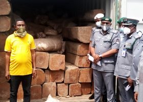 Customs seizes lion bones, pangolin scales at Apapa port