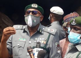 Customs seizes lion bones, pangolin scales at Apapa port