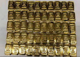 Customs seizes 17kg gold bars at airport