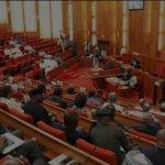 Senate deplores high freight charges to Nigeria