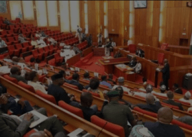 Senate_D