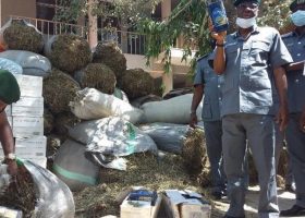 Customs generates N5.5bn in Kano, Jigawa