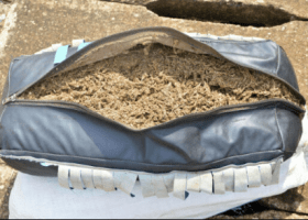 Customs seizes N213.6m Indian Hemp in Ogun