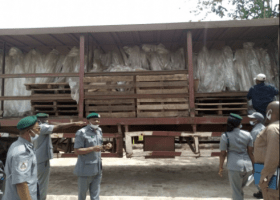 Customs seizes 38 trucks of rice in Ogun