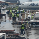 Imported cow breaks loose, chases workers at Lagos airport