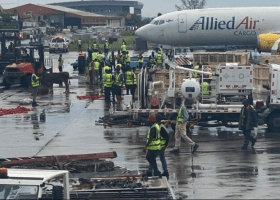 Imported cow breaks loose, chases workers at Lagos airport