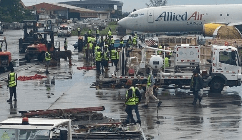 Imported cow breaks loose, chases workers at Lagos airport