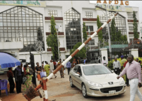 NAFDAC workers begin warning strike