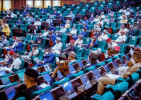 Reps probe satirical ‘export of 7,000 penises’ from Nigeria to China
