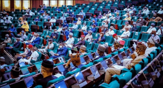 Reps probe satirical ‘export of 7,000 penises’ from Nigeria to China
