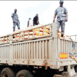 Customs intercepts Dangote truck with 600 bags of smuggled rice in Ogun