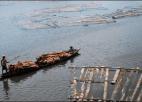 Marine protected areas and Nigeria’s blue economy