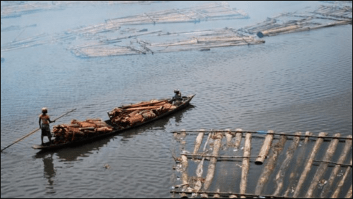 Marine protected areas and Nigeria’s blue economy 