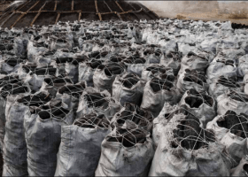 Shipping lines suspend charcoal, wood export from Nigeria
