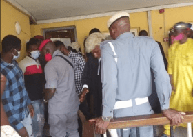 Court remands four Guineans, one Nigerian over export of N22.3bn pangolin scale, others 