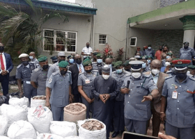 Customs intercepts N22.3bn pangolin scales, elephant tusks in Lagos 