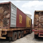 Customs seizes unprocessed timber, arrests two