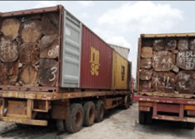 Customs seizes unprocessed timber, arrests two