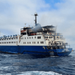 Togo-flagged livestock carrier catches fire off Spain