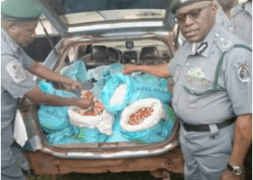 Customs intercepts live ammunition, drugs in Oyo, Ogun