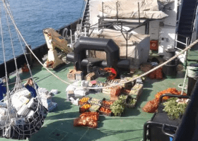 Foreign shipping lines reject Nigerian ship chandlers — Official