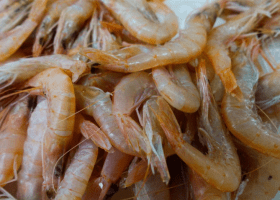 Spanish-Senegalese trawlers accused of plundering Liberia’s shrimps