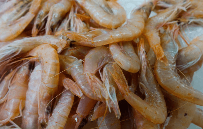 Spanish-Senegalese trawlers accused of plundering Liberia’s shrimps