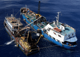 MASPAN alerts on illegal transshipment at sea