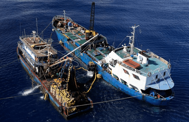 MASPAN alerts on illegal transshipment at sea 
