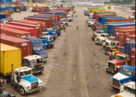 How do you rate the performance of Truck Transit Park and MOB Truck Park in the implementation of the electronic call-up system in Apapa?