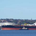 Dockworkers, shipping lines widen Russian trade boycott 