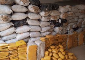 Customs seize N102m worth of marijuana in Ogun 